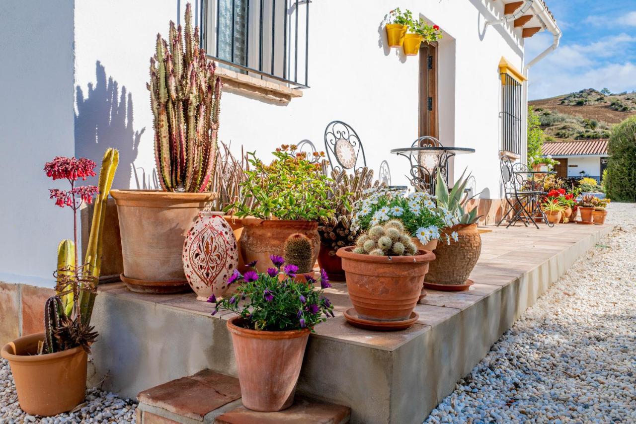 Finca El Limonar Álora Zewnętrze zdjęcie