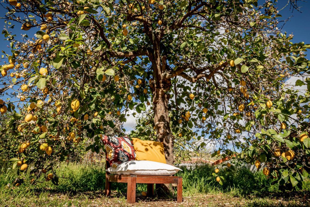 Finca El Limonar Álora Zewnętrze zdjęcie