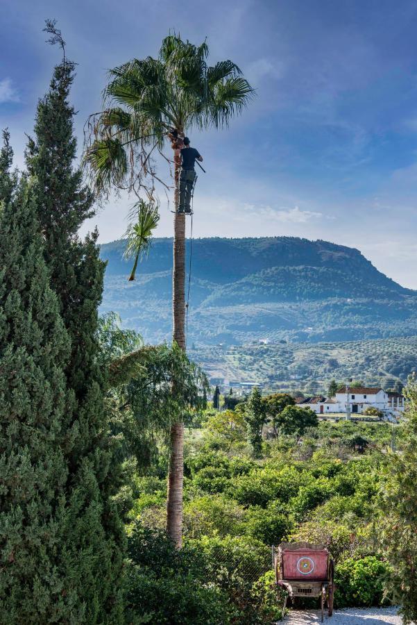 Finca El Limonar Álora Zewnętrze zdjęcie