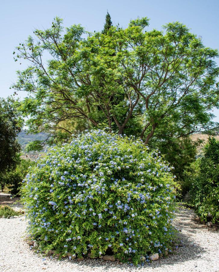 Finca El Limonar Álora Zewnętrze zdjęcie